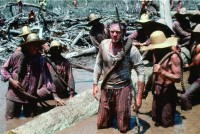 /album/galeria-de-fotos-papillon/papillon-6-jpg/